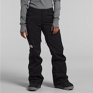 The North Face Freedom Stretch Pant Winter Ski Pants